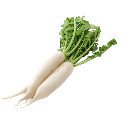 White Radish